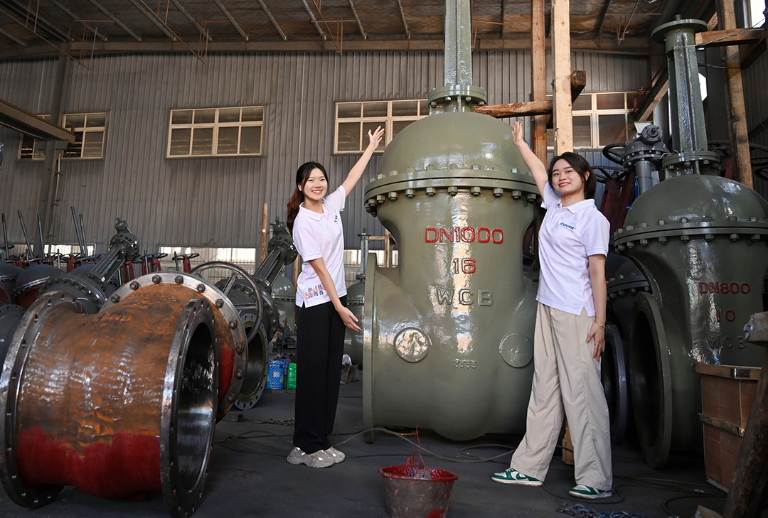 大型自動化閥門，已成為現(xiàn)代化工業(yè)管道系統(tǒng)中不可或缺的關(guān)鍵設(shè)備